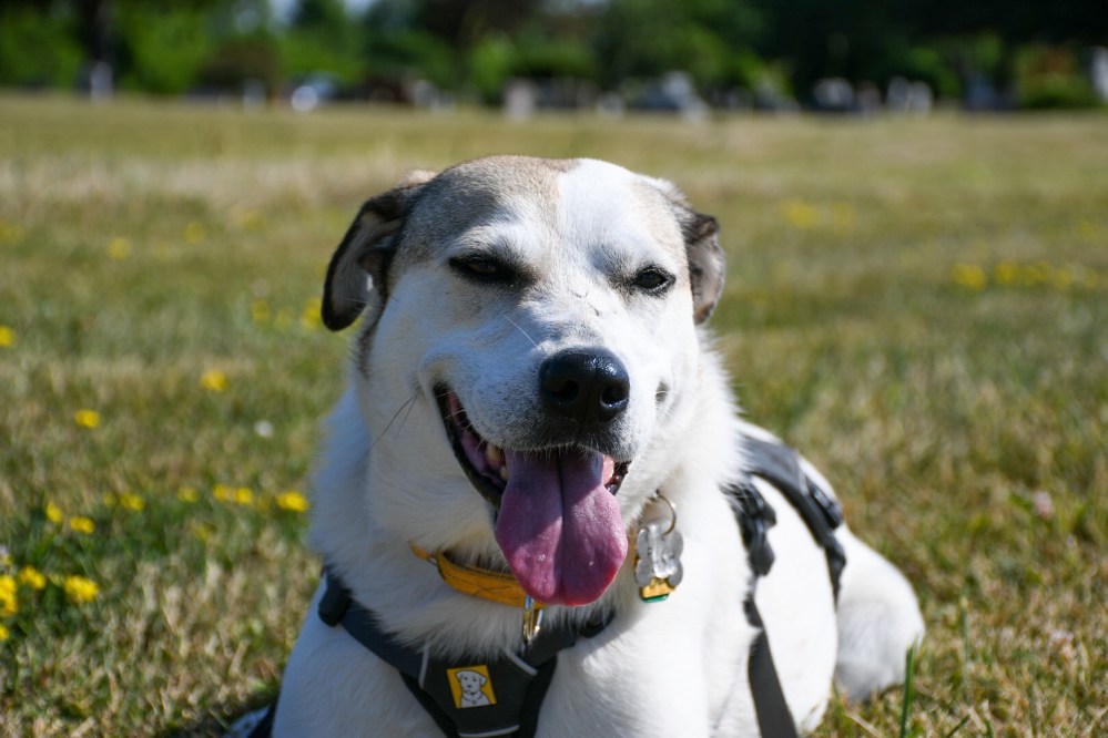 8f909692-966e-4364-8e65-8e54e8891cff